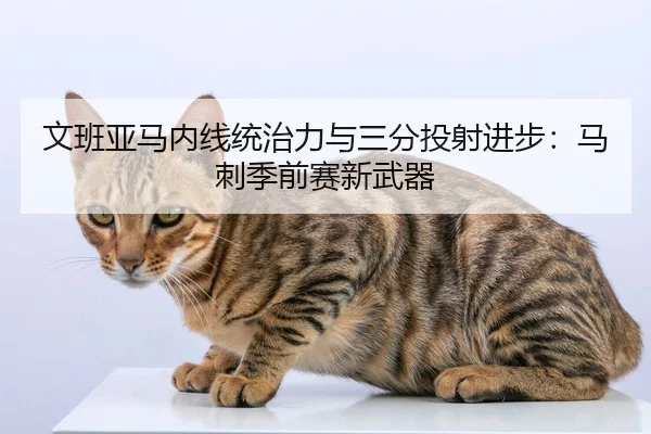 文班亚马内线统治力与三分投射进步：马刺季前赛新武器