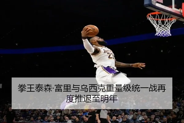 拳王泰森·富里与乌西克重量级统一战再度推迟至明年